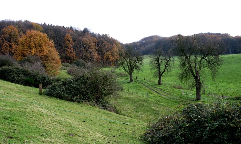 Imstenraderbos Natuurmonumenten