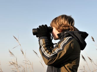 Winterwandelroute in de Groene Jonker