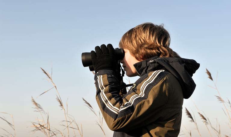 Winterwandelroute in de Groene Jonker