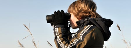 Winterwandelroute in de Groene Jonker