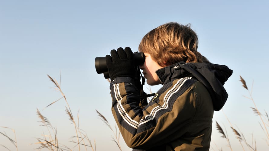 Winterwandelroute in de Groene Jonker