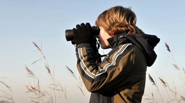 Winterwandelroute in de Groene Jonker