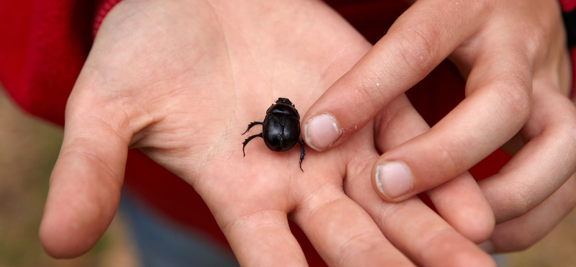 Waar ben jij bang voor?