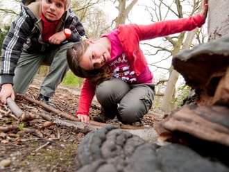 Herfstspeurtocht van OERRR - Gooi en Vechtstreek