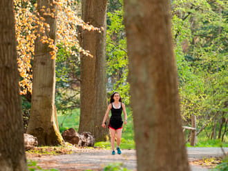 Wandelroute Parkbos Koningshof | Nationaal Park Zuid-Kennemerland