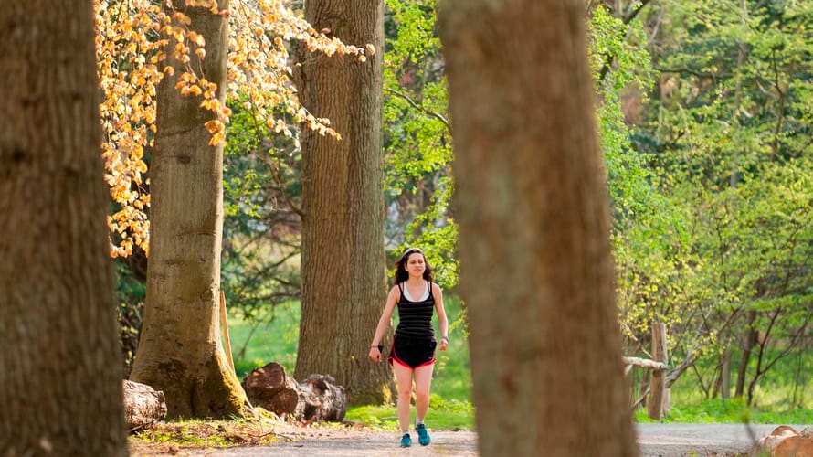 Wandelroute Parkbos Koningshof | Nationaal Park Zuid-Kennemerland