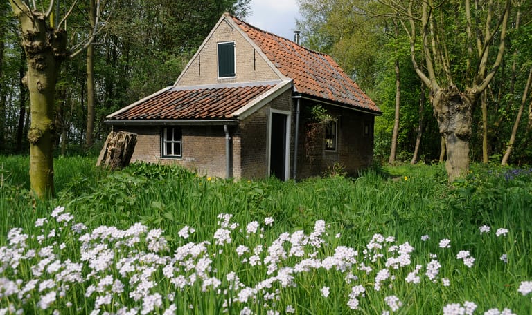 Eendenkooi Het Aalkeetbuiten