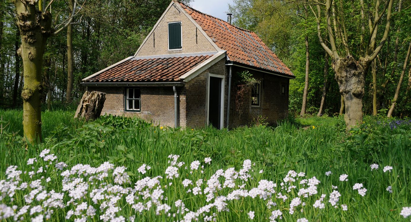 Eendenkooi Het Aalkeetbuiten