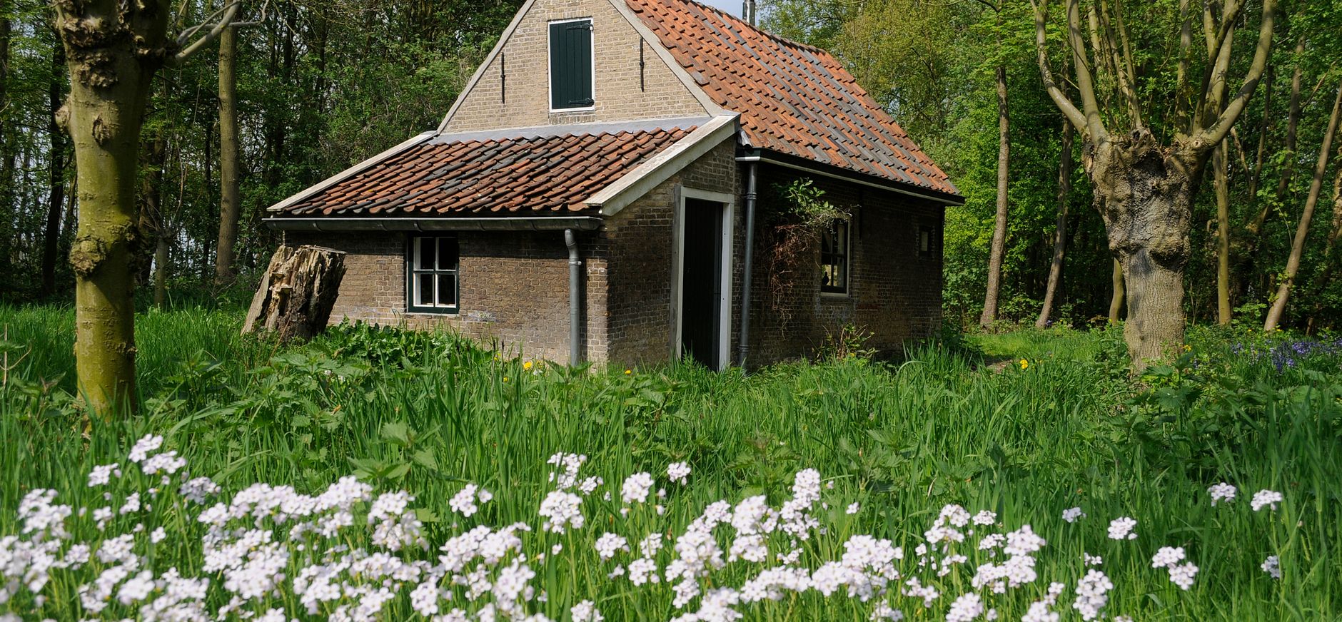 Eendenkooi Het Aalkeetbuiten