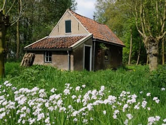 Eendenkooi Het Aalkeetbuiten