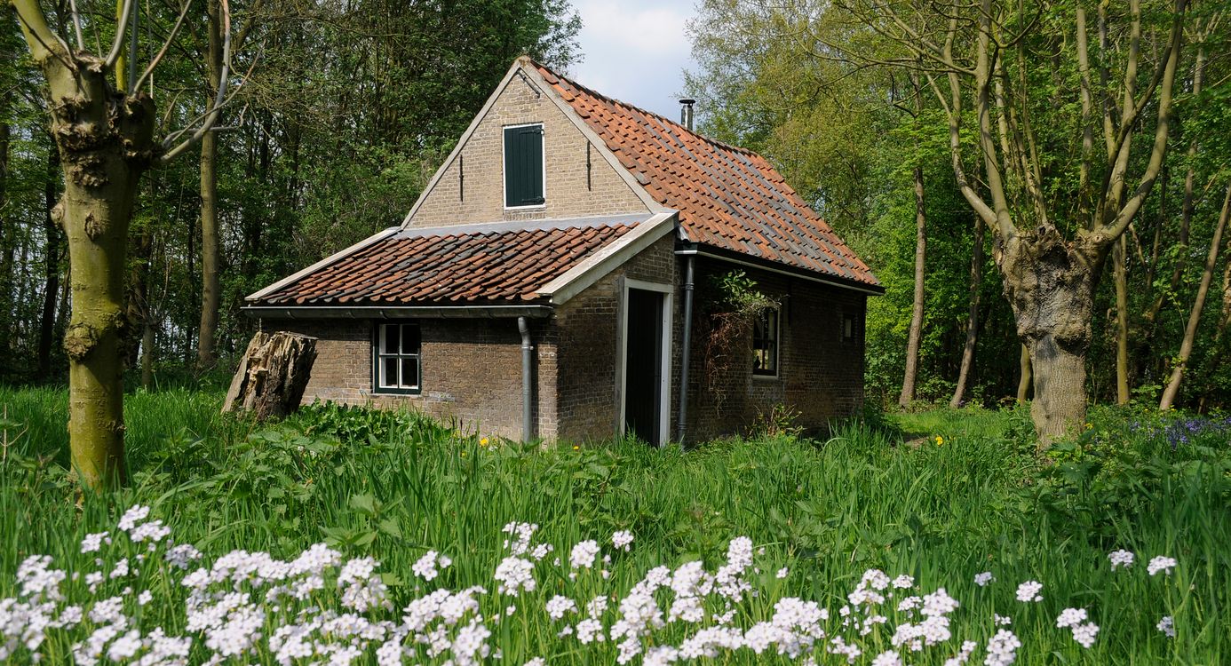 Eendenkooi Het Aalkeetbuiten