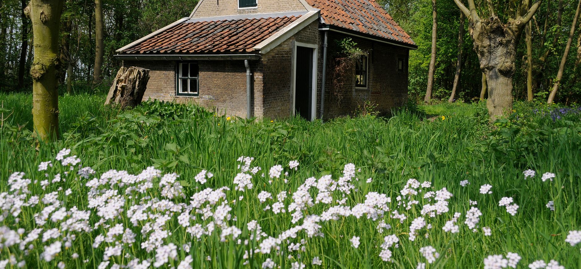 Eendenkooi Het Aalkeetbuiten