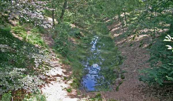 Kop Vrijenbergerspreng