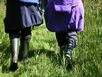 Wandelroute Korenburgerveen, vlakbij Winterswijk