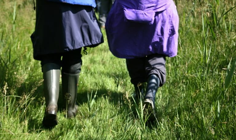 Wandelroute Korenburgerveen, vlakbij Winterswijk