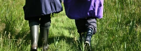 Wandelroute Korenburgerveen, vlakbij Winterswijk