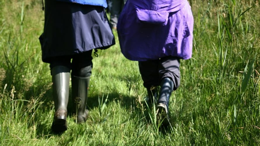 Wandelroute Korenburgerveen, vlakbij Winterswijk