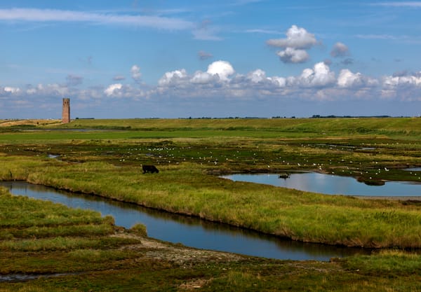 Karrevelden