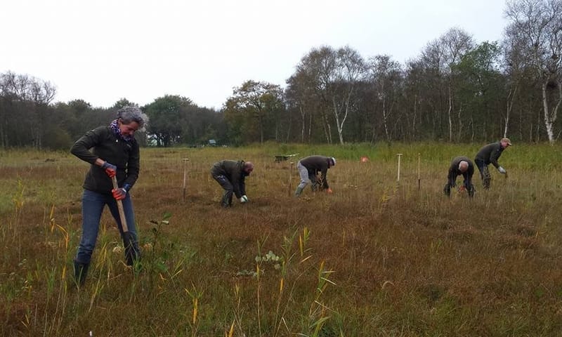 Vrijwilligerswerk in de natuur