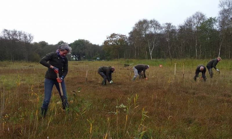 Vrijwilligerswerk in de natuur Vrijwilligerswerk in de natuur