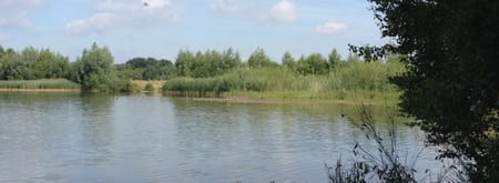 Wandelroute Langenboomse Bossen - De Kuilen