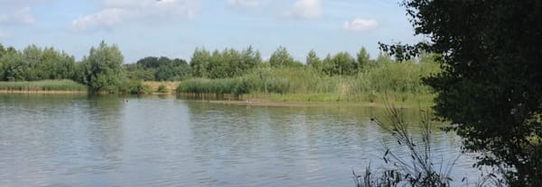 Wandelroute Langenboomse Bossen - De Kuilen