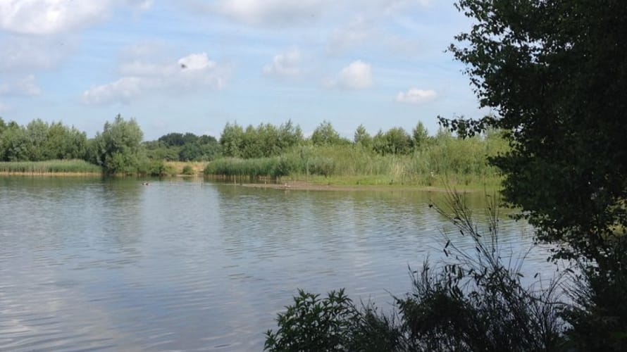 Wandelroute Langenboomse Bossen - De Kuilen