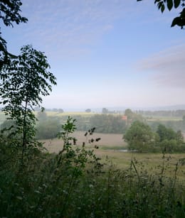 Limburg