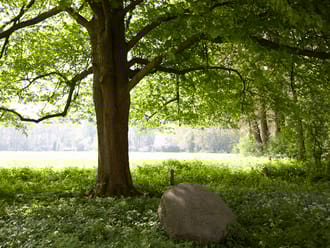 Wandelroute over landgoed de Snippert, tussen Losser en Oldenzaal