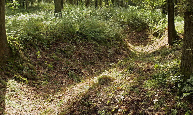 Militaire relicten in het Bergherbos