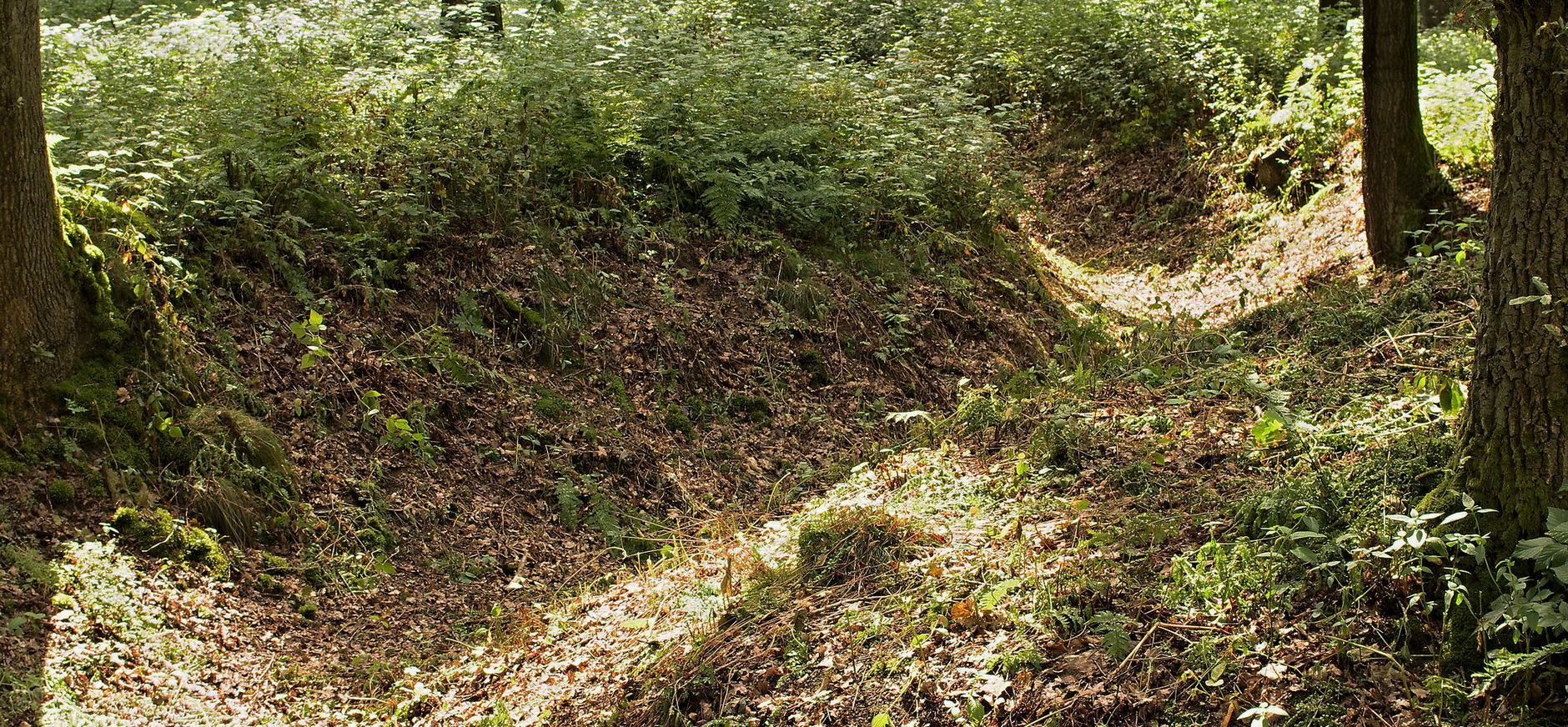 Militaire relicten in het Bergherbos
