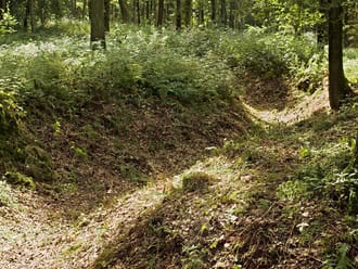Militaire relicten in het Bergherbos
