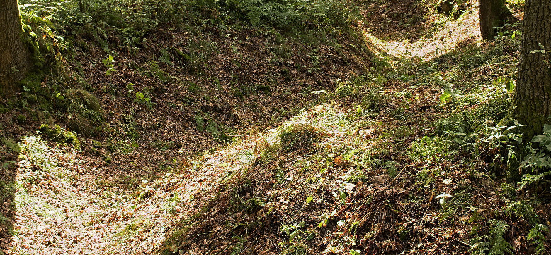 Militaire relicten in het Bergherbos