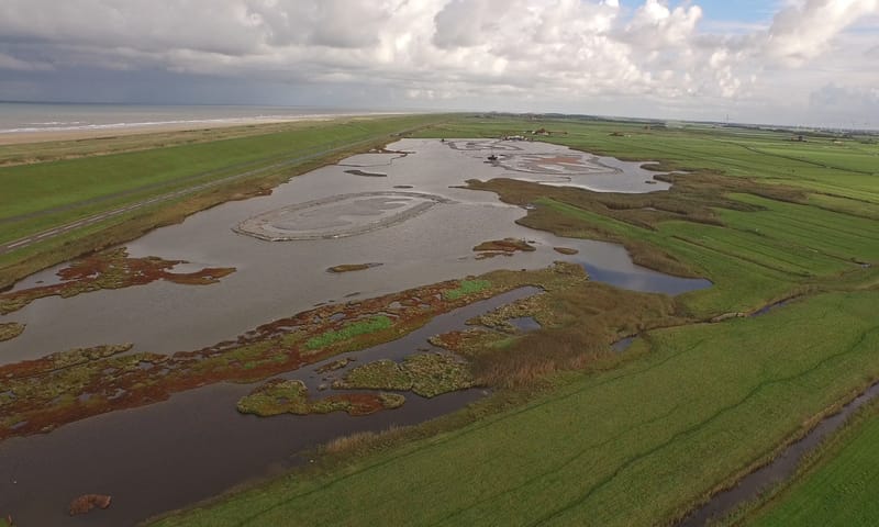 Wandeling door de Harger- en Pettemerpolder