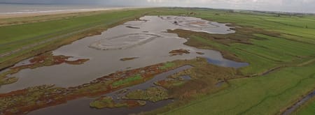 Wandeling door de Harger- en Pettemerpolder