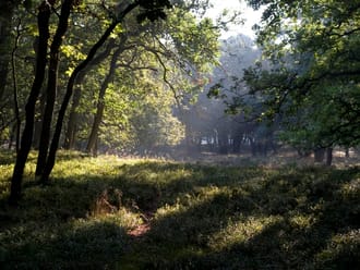 Poëziefietsroute Zuidwest-Veluwe