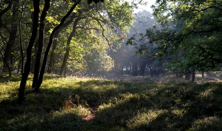 Poëziefietsroute Zuidwest-Veluwe