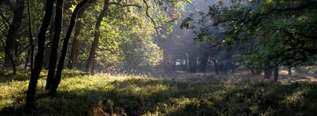 Poëziefietsroute Zuidwest-Veluwe