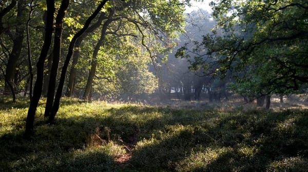 Poëziefietsroute Zuidwest-Veluwe