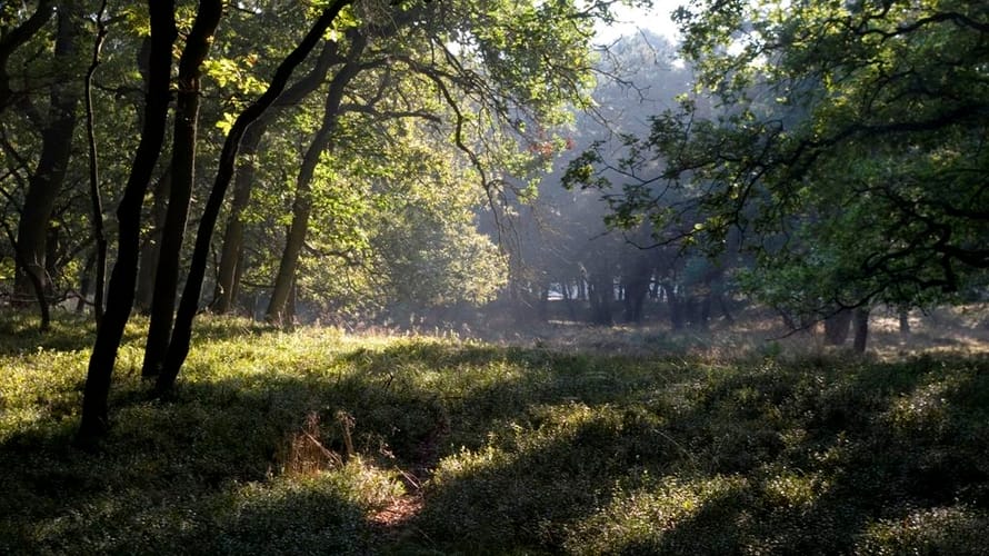 Poëziefietsroute Zuidwest-Veluwe