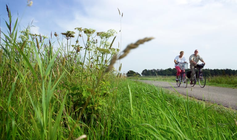 Fietsroute De Onlanden