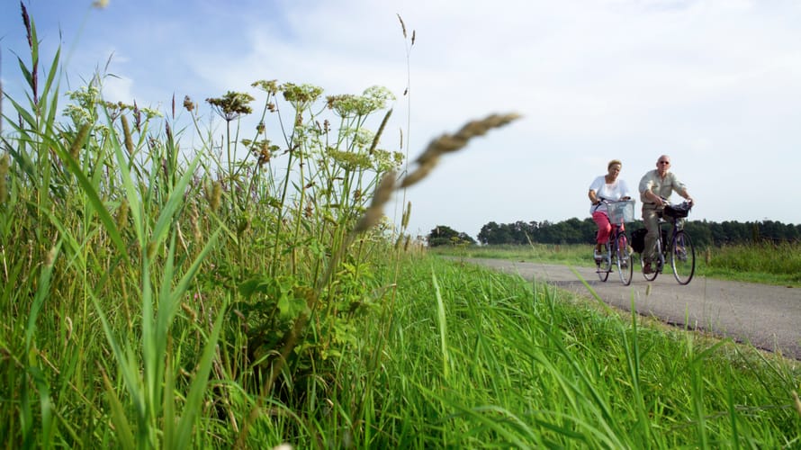 Fietsroute De Onlanden