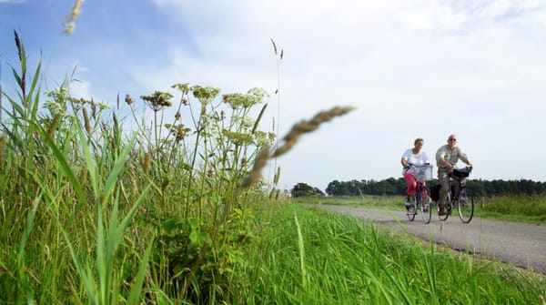 Fietsroute De Onlanden Fietsroute De Onlanden