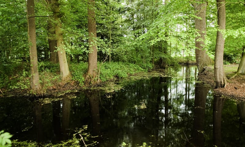 Het Everloo