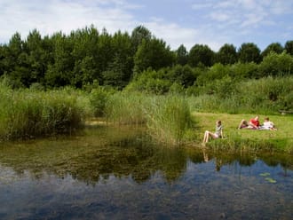 Stienteroute Voorsterbos, bij Kraggenburg