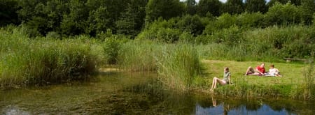 Stienteroute Voorsterbos, bij Kraggenburg