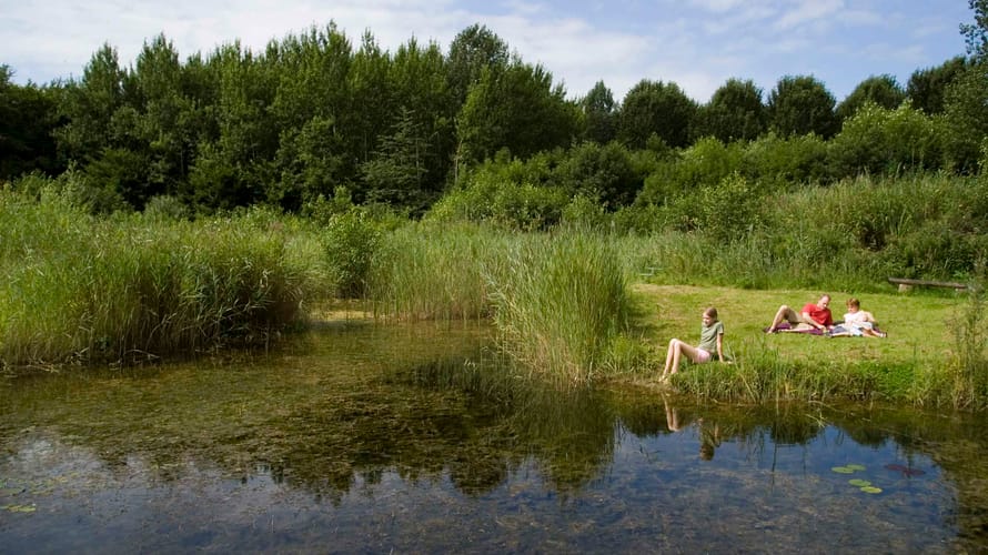 Stienteroute Voorsterbos, bij Kraggenburg