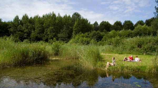 Stienteroute Voorsterbos, bij Kraggenburg