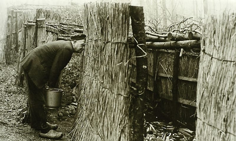 Eendenkooi De Wieden