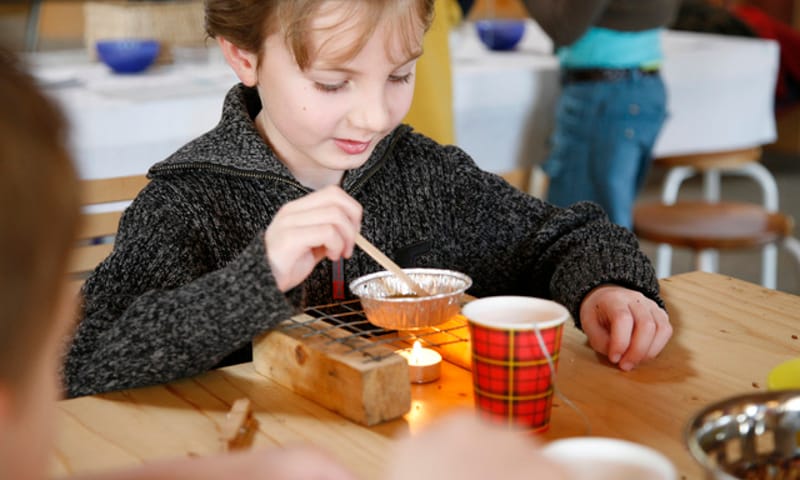 Vogelsnacks maken Dwingelderveld
